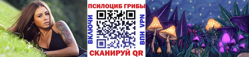 Галлюциногенные грибы Psilocybe  как найти закладки  KRAKEN онион  Межгорье 